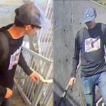 Conservative activist, Charlie Kirk's alleged shooter