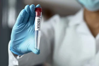 Ebola virus