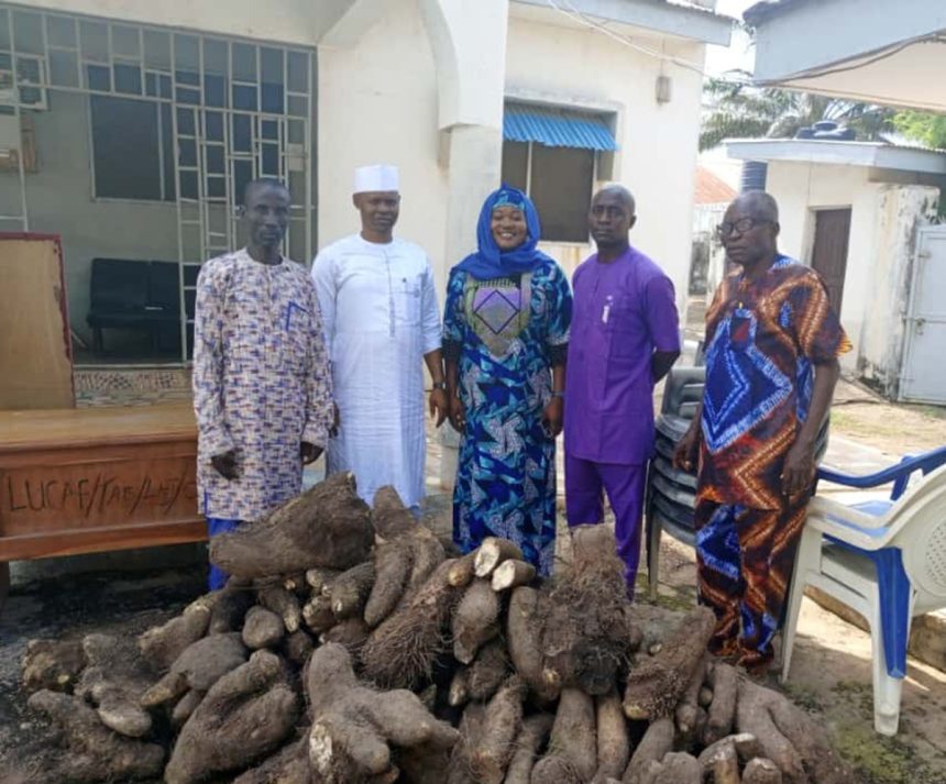 Lift Up Care Foundation (LUCAF), members with tubers of yam