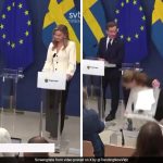 Swedish health minister, Elisabet Lann