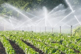 for agricultural growth agriculture