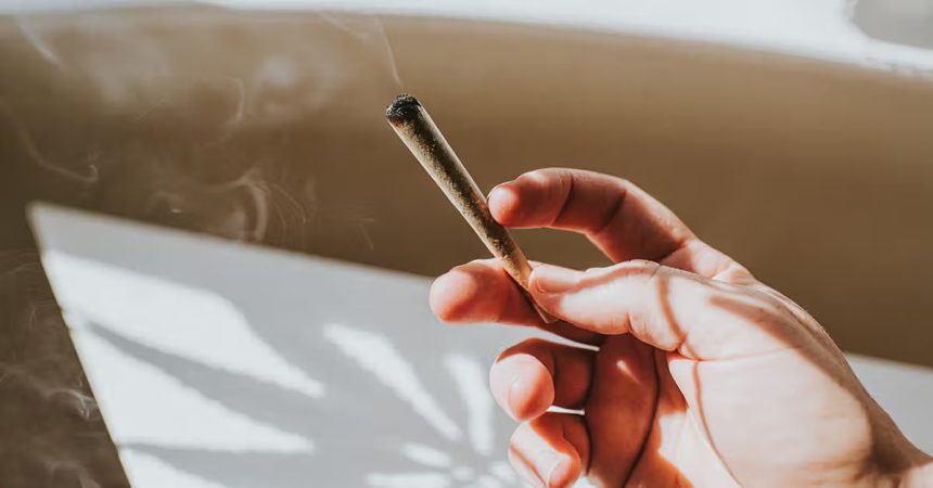 hand-holding-rolled-up-cannabis-