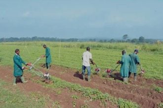 agricultural insurance in Nigeria
