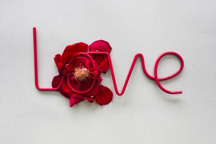 love-inscription-red-rose-petals-table