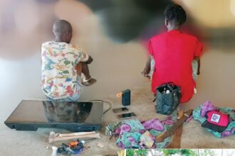 arrested robbery gang by Amotekun