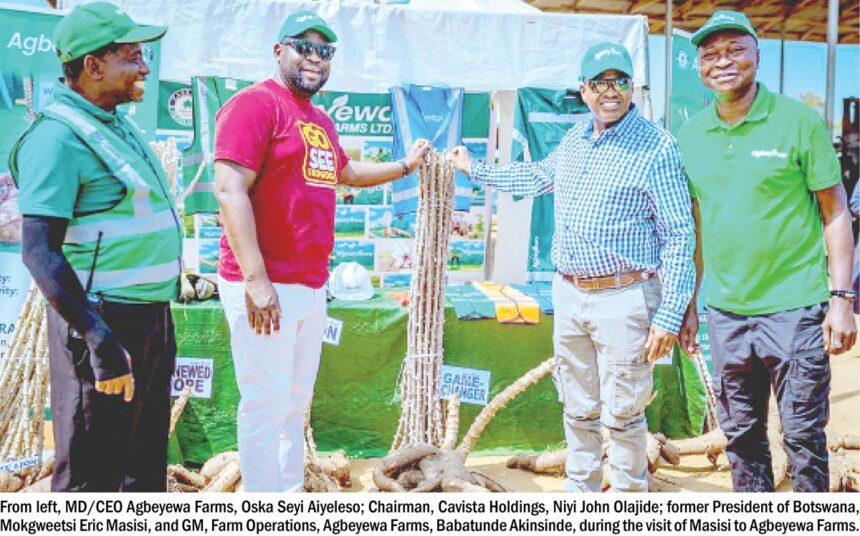 Former Botswana President at Agbeyewa Farms