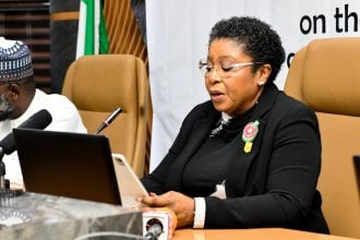 Head of the Civil Service of the Federation, Mrs. Didi Walson-Jack