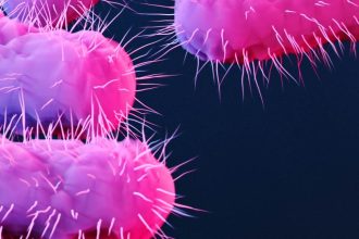 antimicrobial resistance