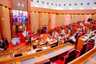Electoral act: Obidient Movement carpets senate