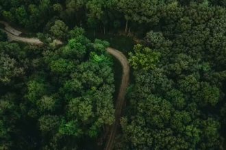 countries with the largest forest areas in the world