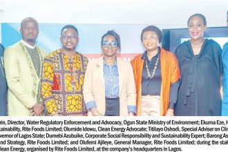 Nigeria’s clean energy agenda