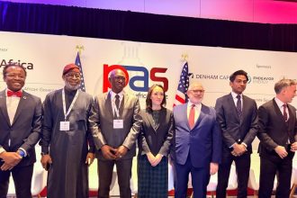 Dele Alake and stake holders