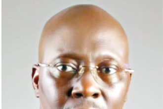 Oba Akintoye Adeoye, REDAN President