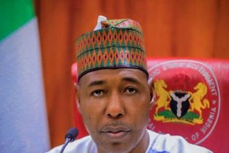 Gov Zulum On Sambisa forest