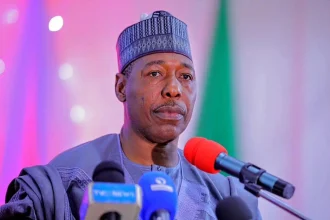 Borno governor Zulum