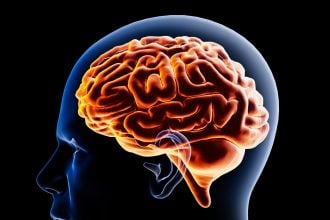brain