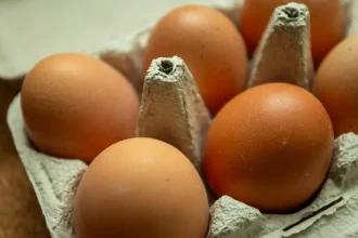 eggs