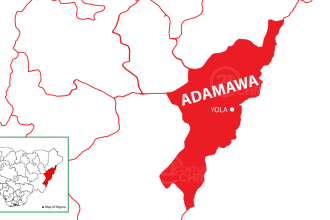 mineral resources in Adamawa Adamawa map