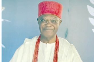 Igwe Nnaemeka Achebe