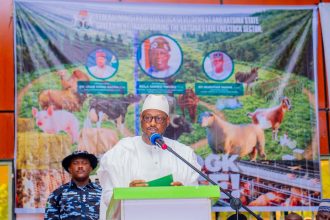 Katsina govt on raw livestock exports, focus on meat processing