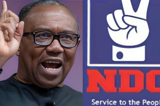 Peter Obi and NDC logo