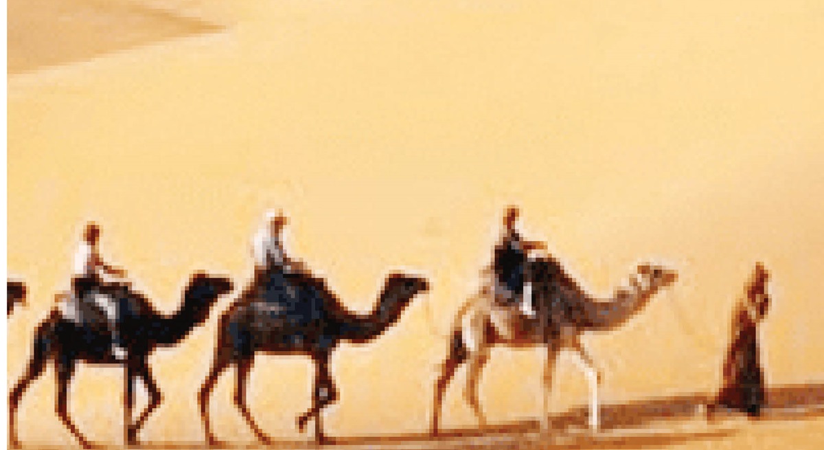 migration of Prophet