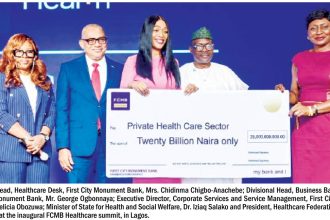 Nigeria’s healthcare businesses