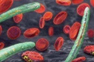 Prevent malaria relapses