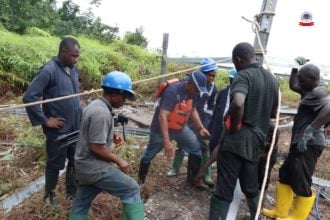 TCN begins rehabilitation of vandalised Ikot Abasi-Eket transmission line