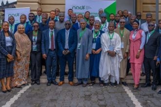 Mohammed Ibrahim and other stakeholders