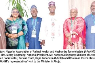 livestock improvement