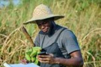 farm produce