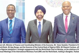 Nigeria's private capital inflows