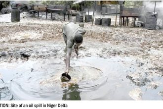 Niger Delta OIL SPILL