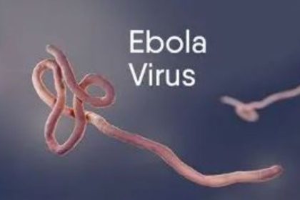 ebola virus