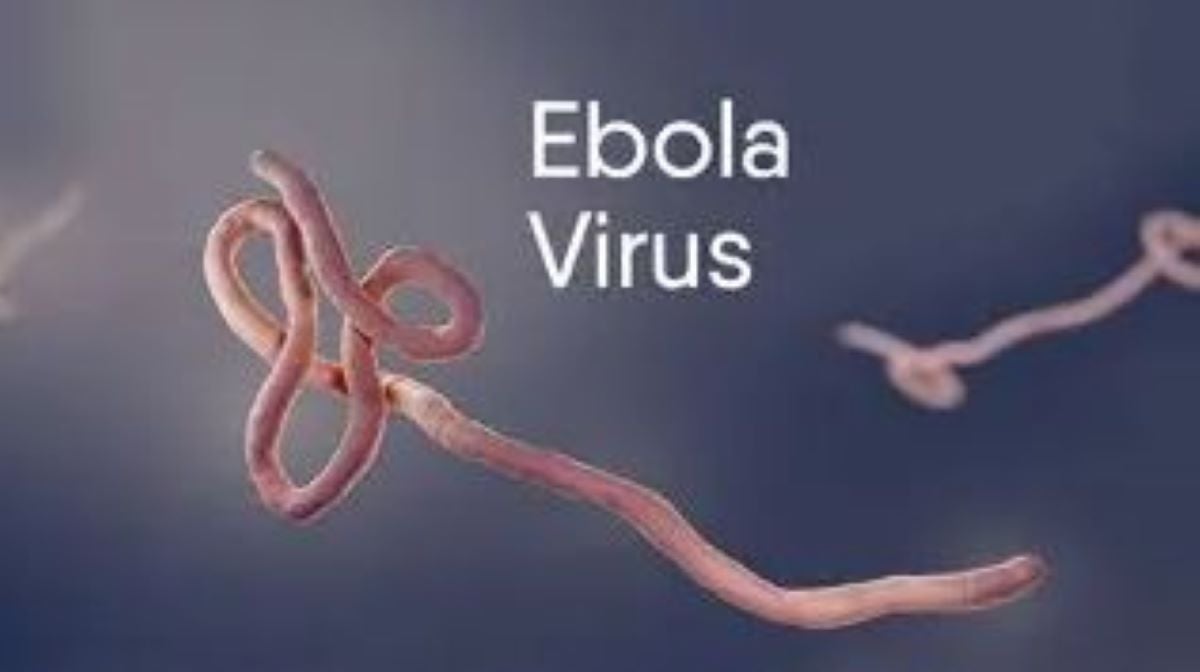 Ebola: Nigeria’s confirmed case linked genetically to Kenya index case ...