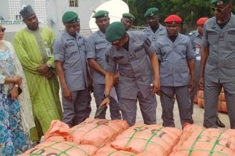 The Nigeria Customs Service, Sokoto/Zamfara Area Command, has intercepted smuggled goods