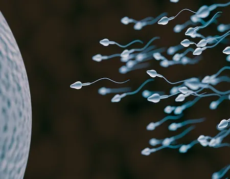 sperm