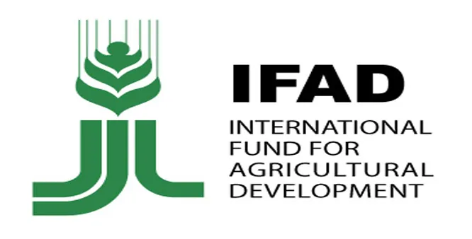 Why states should implement value chain development – IFAD