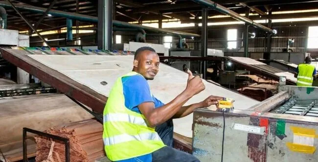 Arise IIP set to promote made in Africa fabrics