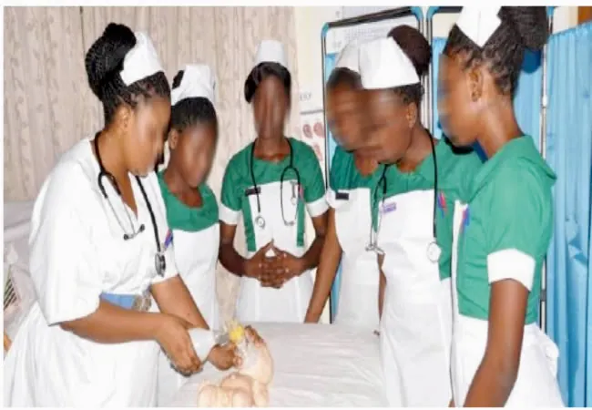 nursing, From command to collaboration: Redefining nursing leadership for modern healthcare in developing and developed countries