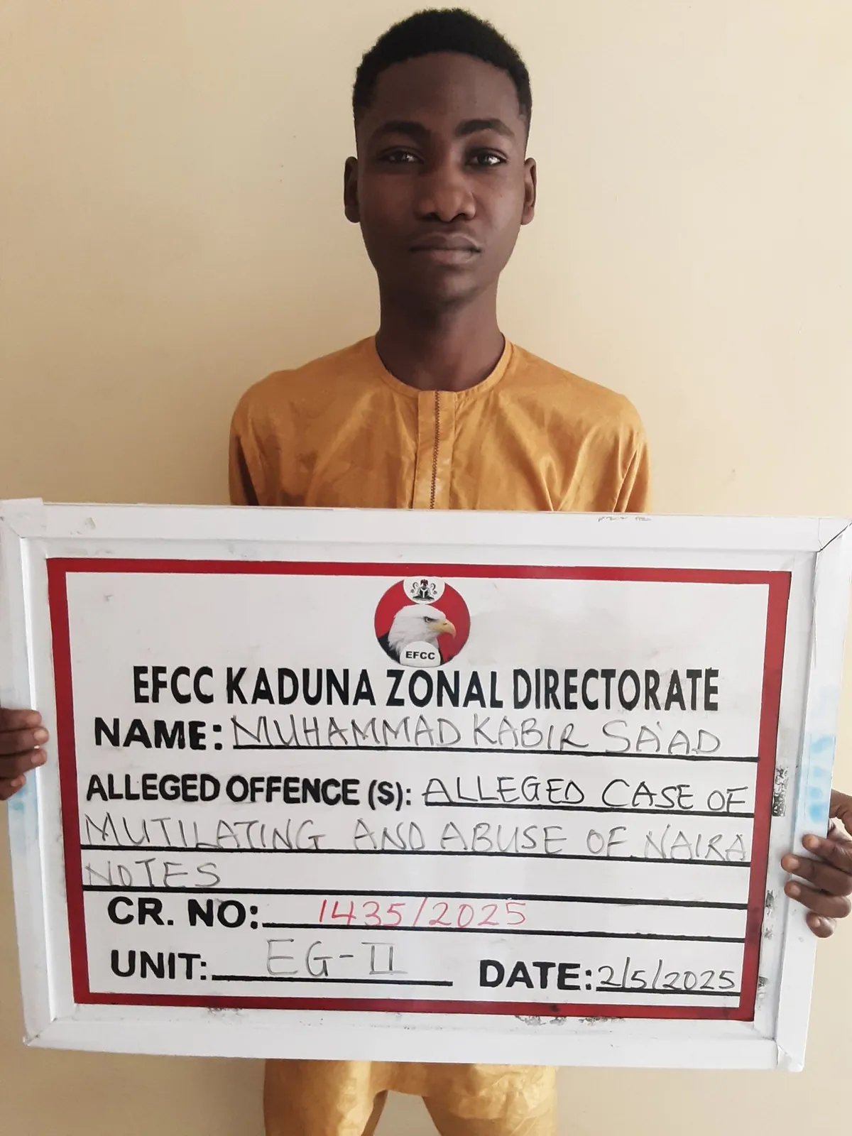 Naira abuse: Kaduna Court jails TikToker for six months 
