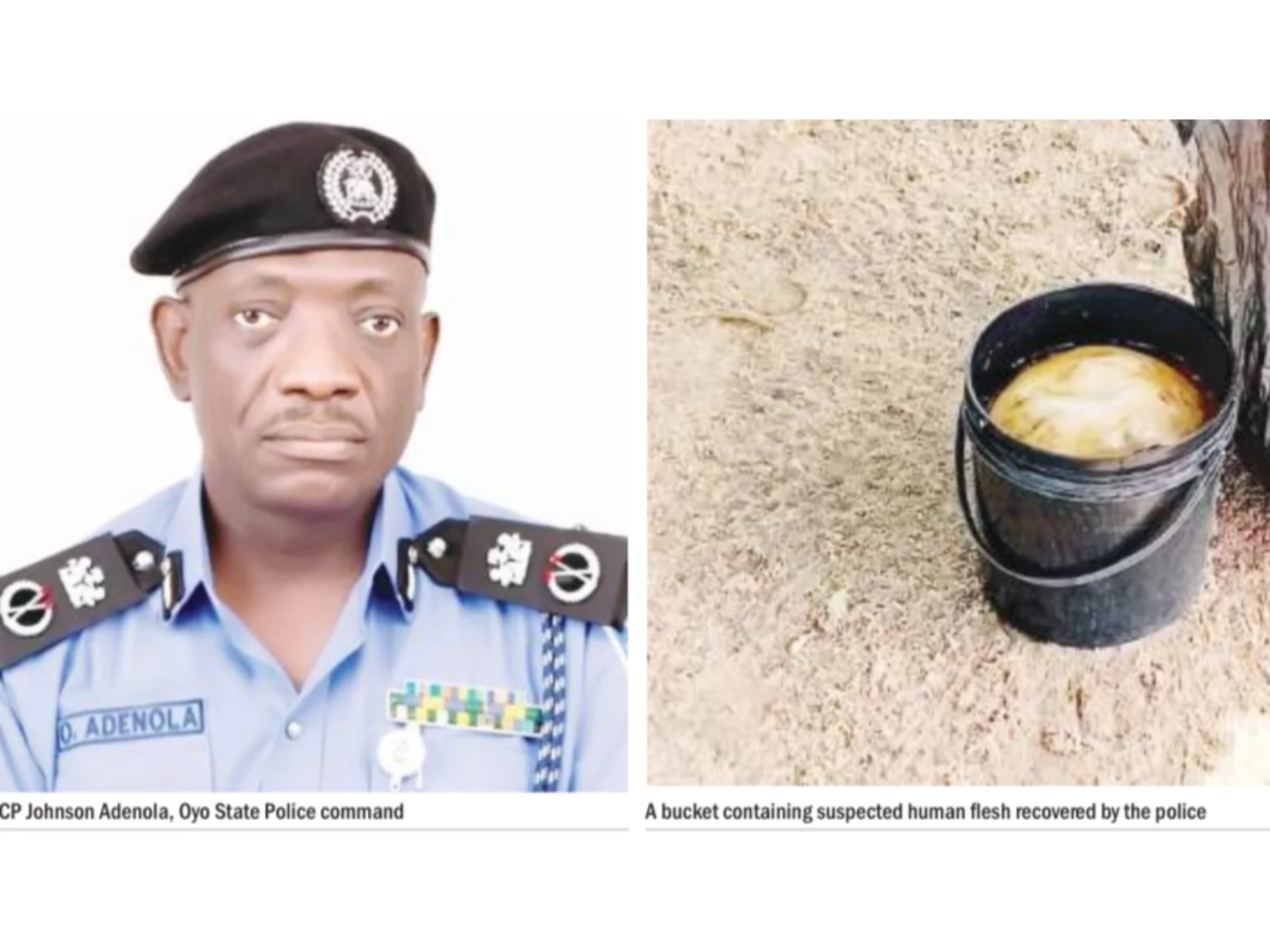 I was buying finger tip-sized human bone for N1,000, suspect found with human flesh, breasts confesses