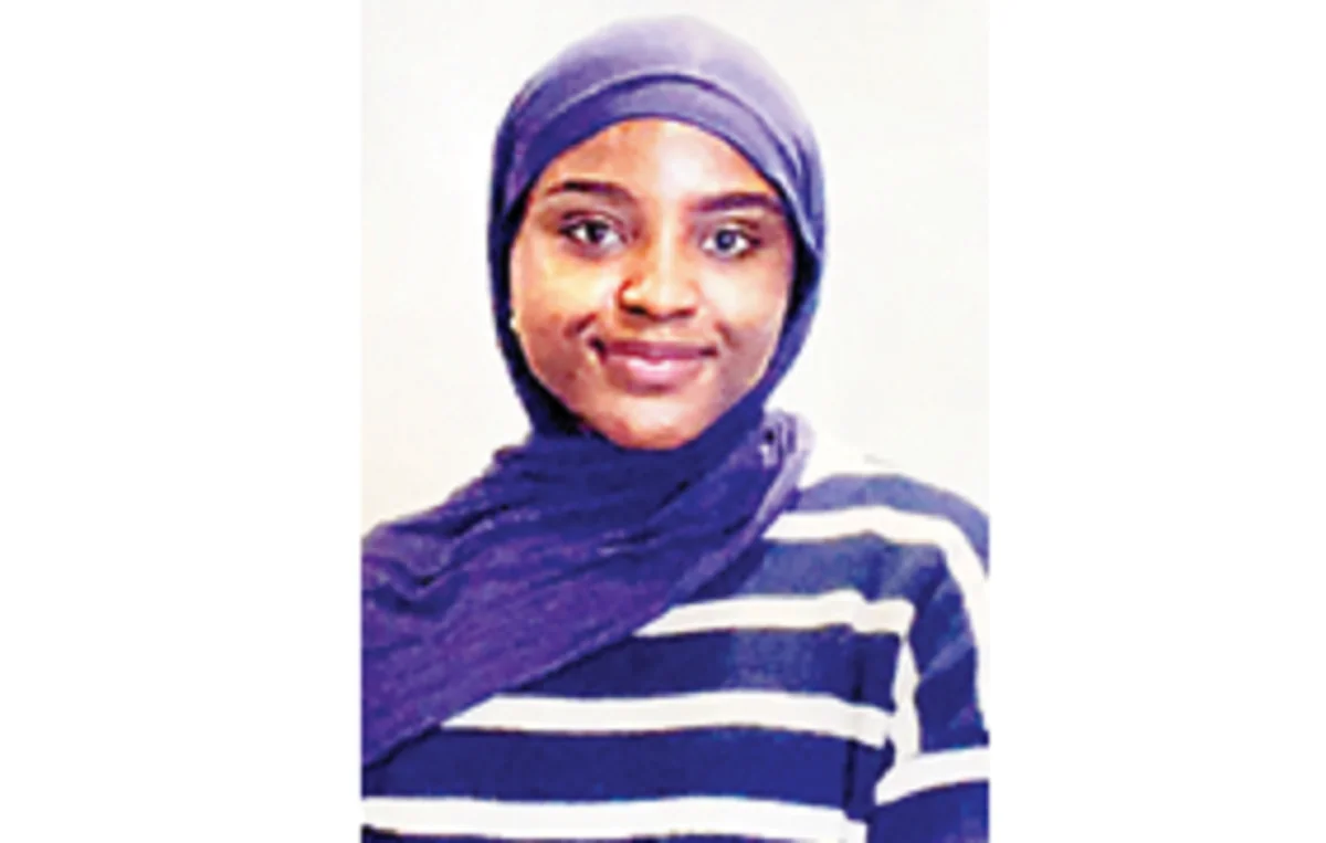 Abibat Adedayo’s landscapes rooted in agric, art